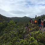 IOTG Aotea Great Barrier